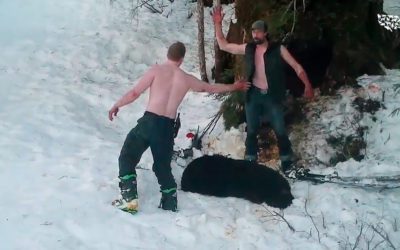 Poachers Are Not Hunters