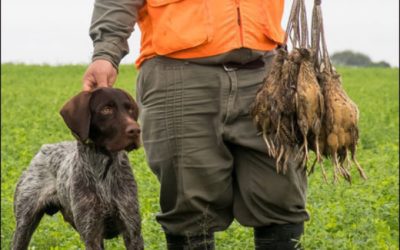 Los Laureles Lodge Delivers the Argentina Dream of Doves, Ducks and Perdiz