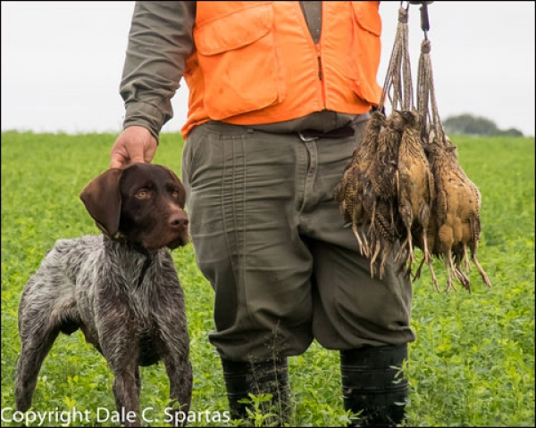 Los Laureles Lodge Delivers the Argentina Dream of Doves, Ducks and Perdiz