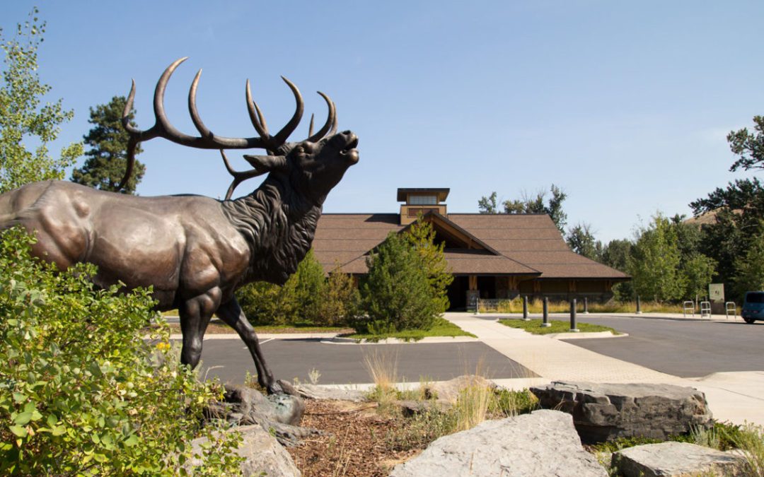 RMEF Celebrates 35 Years of Conservation