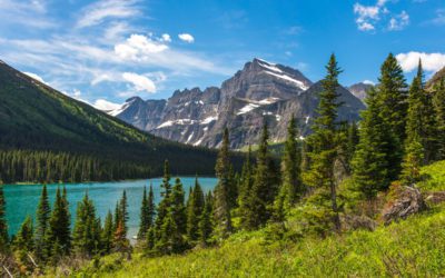 Montana Sportsmen Undertake Legal Action Against Forest Service