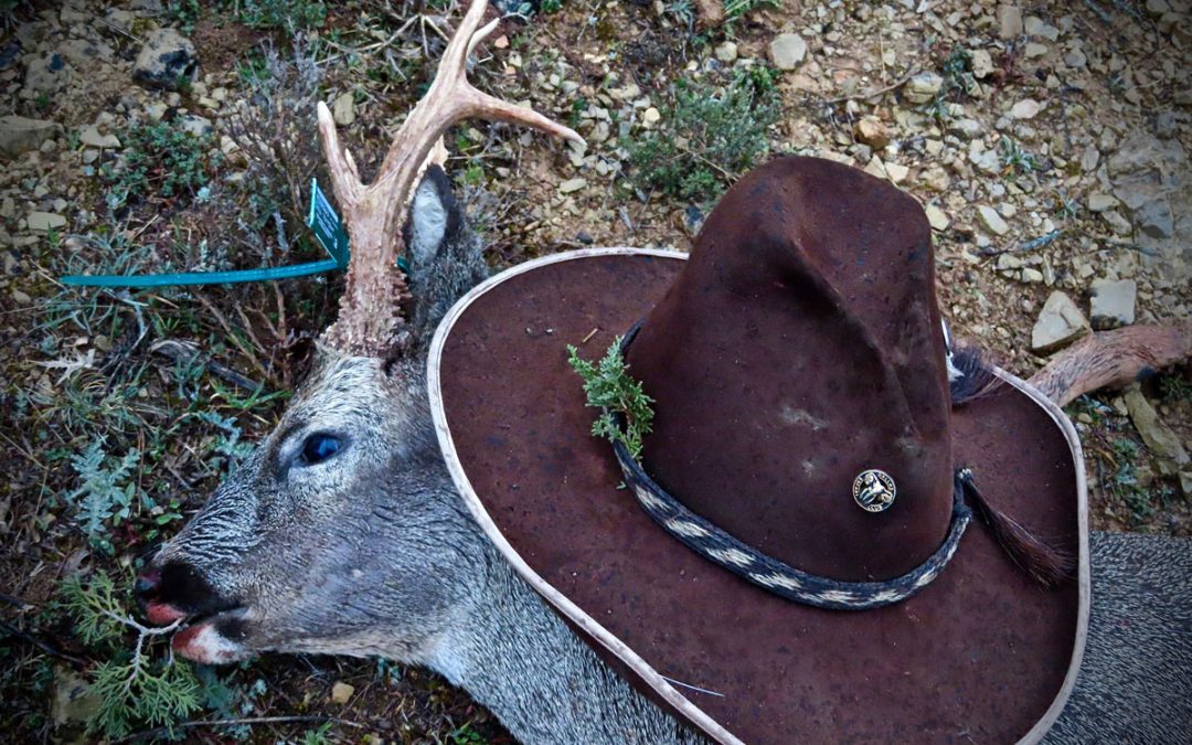 The Rain In Spain Falls Mainly When You’re Trying To Hunt