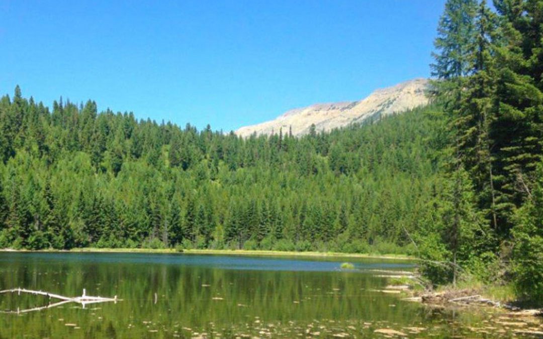 Scenic Elk Country in Montana’s Swan Valley Conserved, Improves Public Access