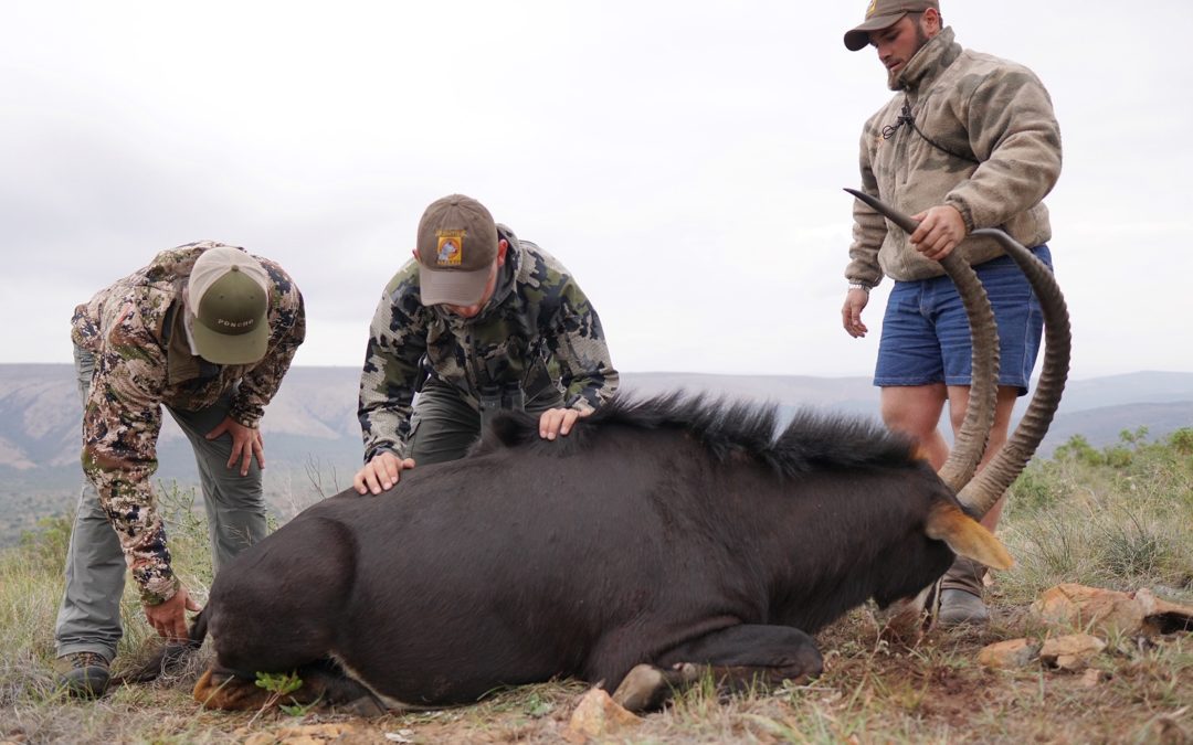 A Cast Of Characters Hunt Africa