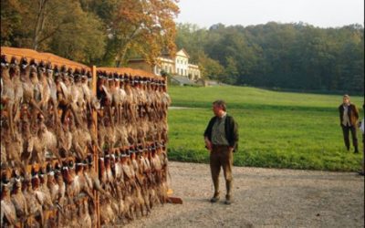 With Fabbri in Italy