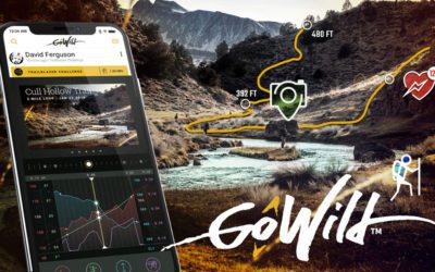 An App to Navigate the Digital Wilderness