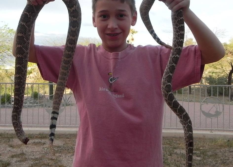 Rattlesnakes Among Friends