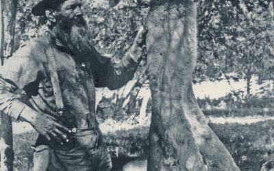 The Last Days of Ben Lilly