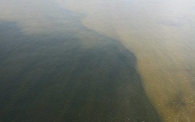 Florida—Red Tide Status