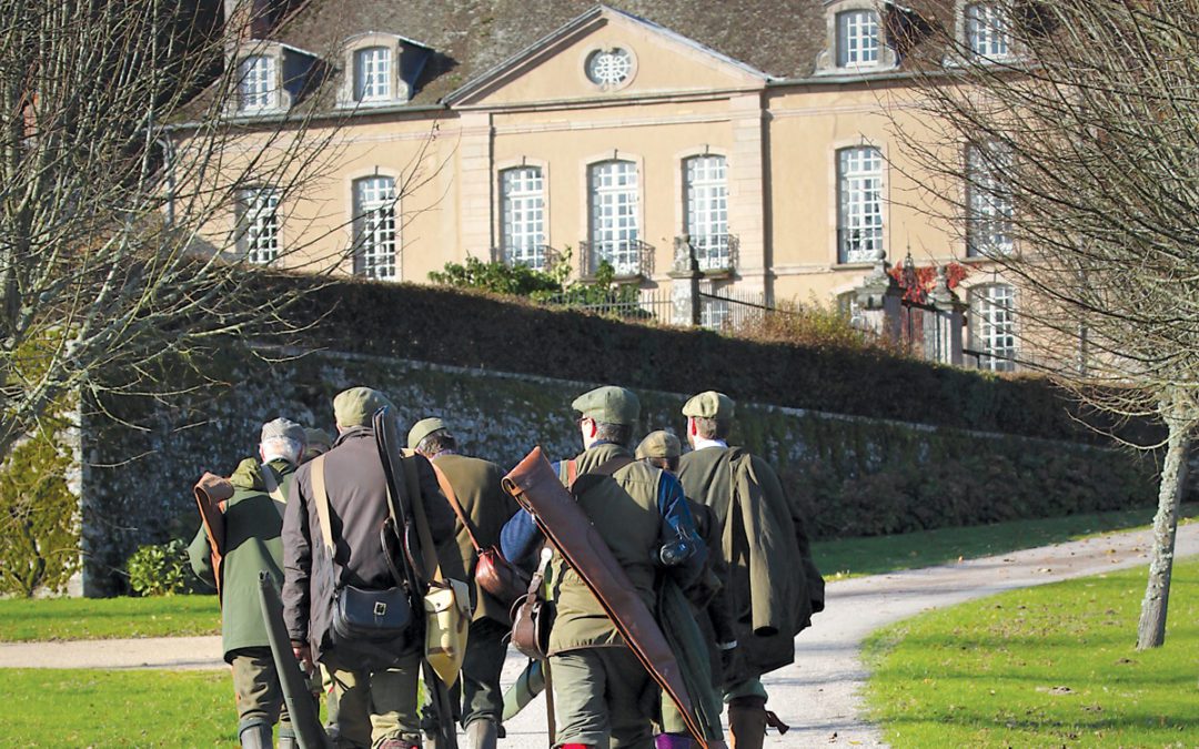 Shooting Flying At A Legendary Chateau