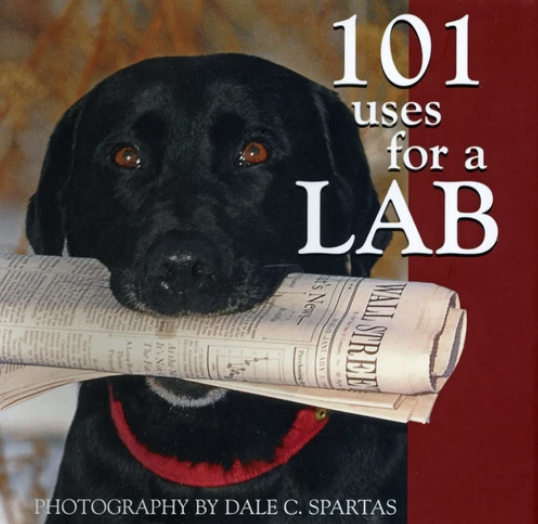 labrador retriever book cover