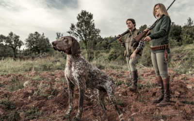 German Shorthaired Pointer: The Low Maintenance Pointer