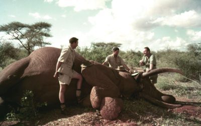 Ruark On Safari: Hemingway