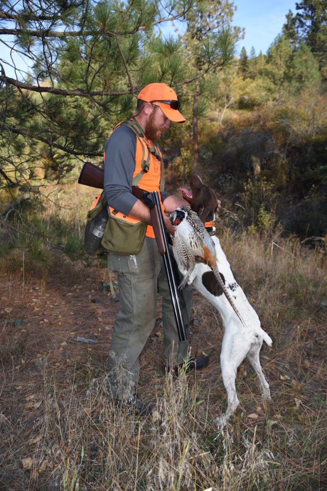 Flying B Ranch, A Fin, Upland And Big Game Hunting Lodge - Sporting ...