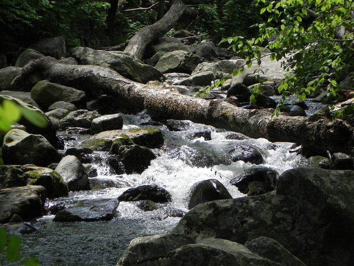 Water falling down rocks in a mountain trout stream