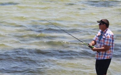 A Deep Dive Into The Imperiled Indian River Lagoon