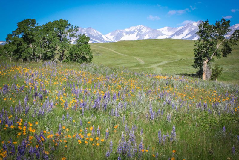 Alphine Ranch Dream Homes: High Alpine Ranch - Sporting Classics Daily