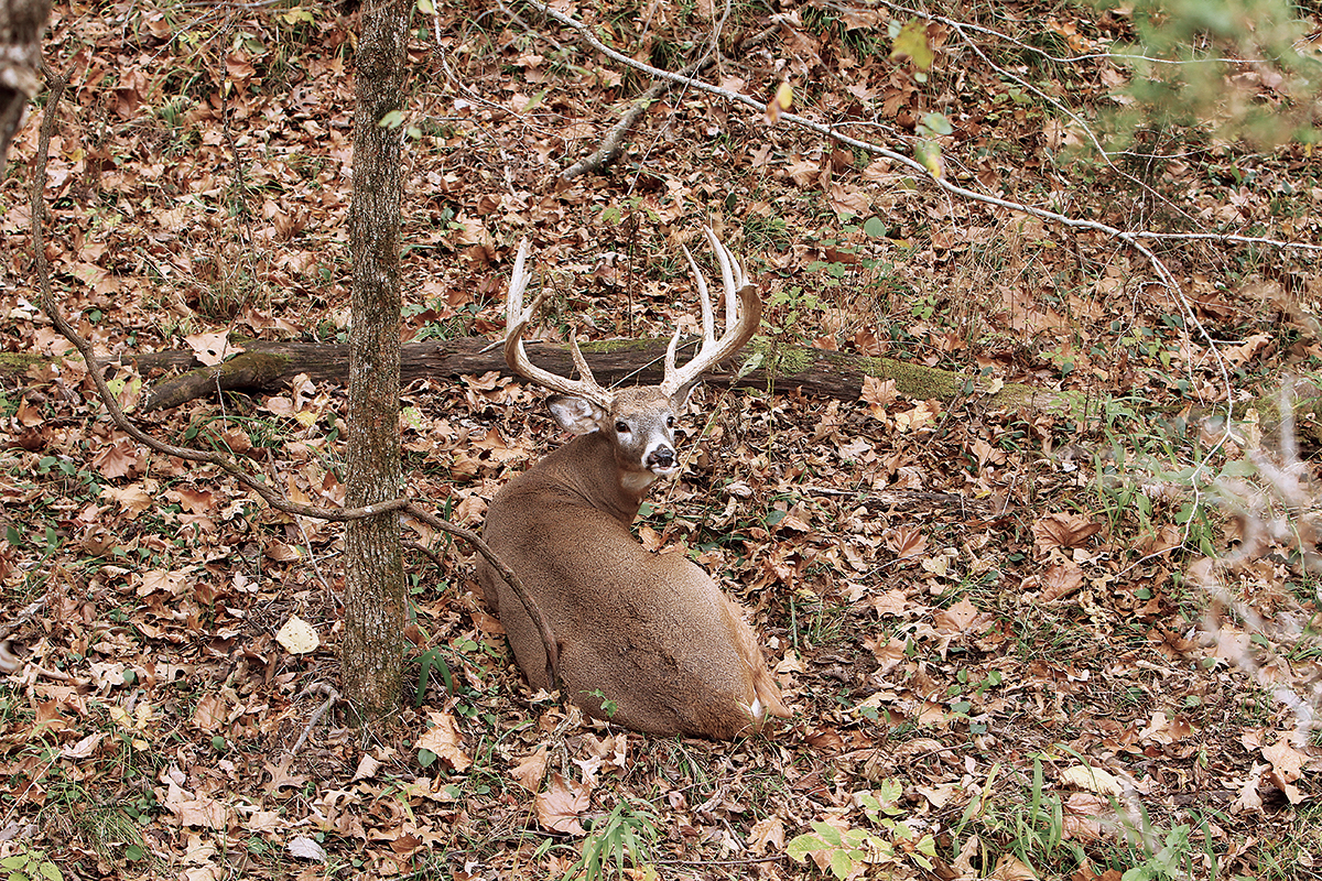 Dawn of American Deer Hunting Volume II - Sporting Classics Daily