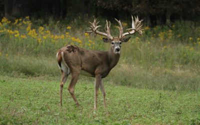 Nebraska Big Game Draw Permit Applications