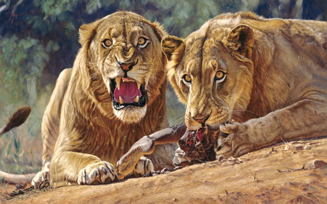 King of Beasts – A Study of the African Lion