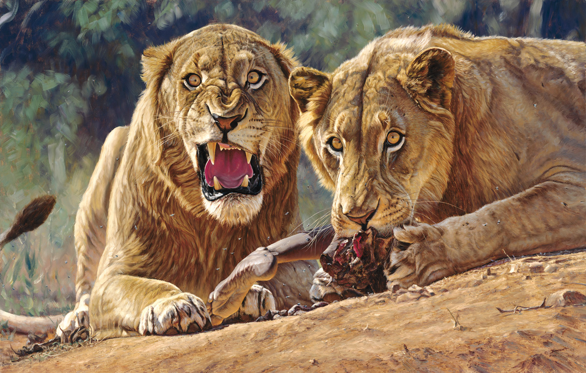 львы в музее естественной истории филда львы