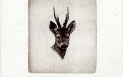 Rigby Art Releases Limited Edition Stamps