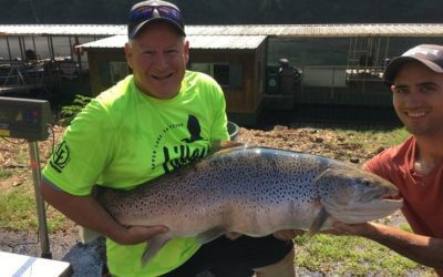 Missouri Has A New Record Brown Trout