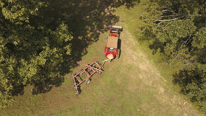 food plot on public land