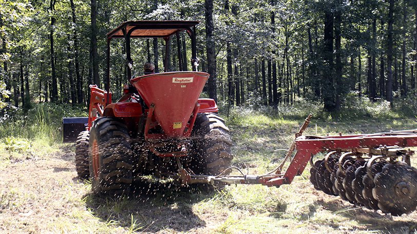 spreading clover seed