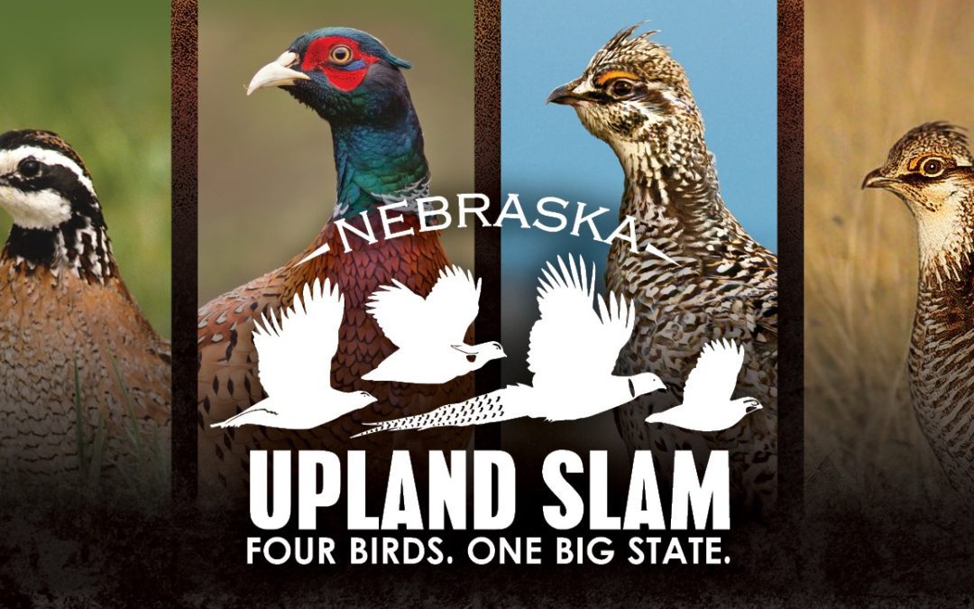 Nebraska Upland Slam Is Back