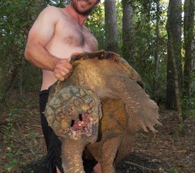 105-Pound MONSTER Snapping Turtle!
