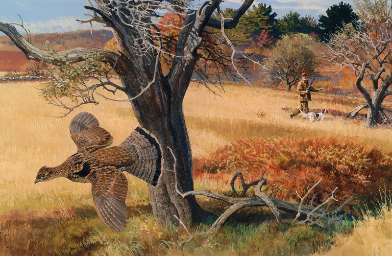 painting of ruffed grouse flying away from hunter