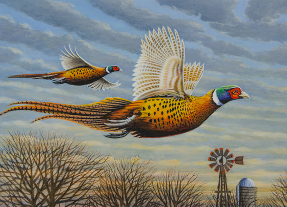 painting of pheasants flying