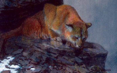 Legends Of The Hunt: Theodore Roosevelt