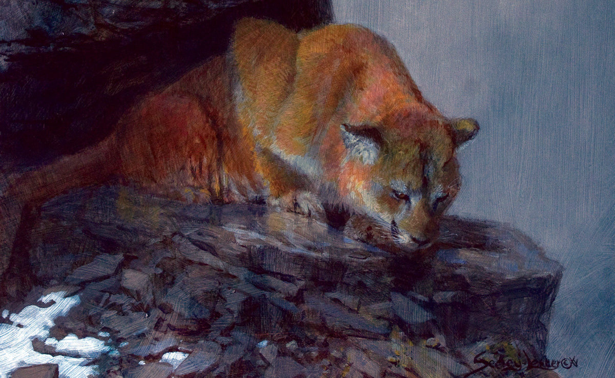 painting of cougar in rocks