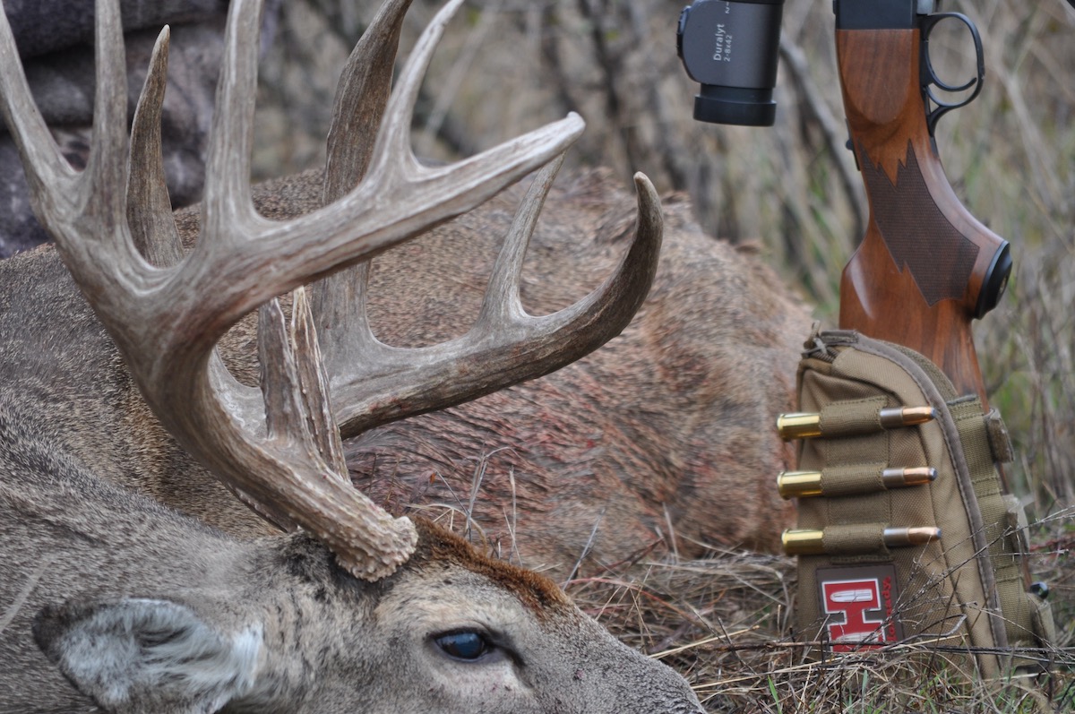 whitetail antlers