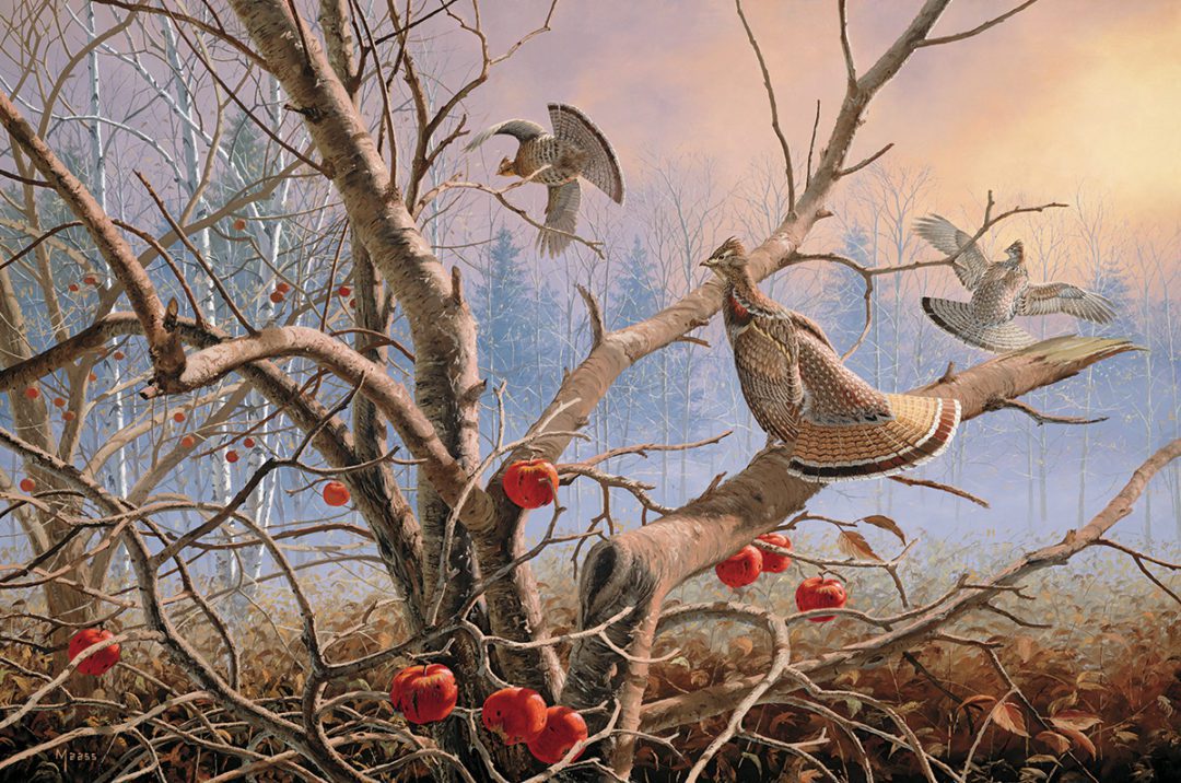 In The Court Of The Ruffed Grouse King  