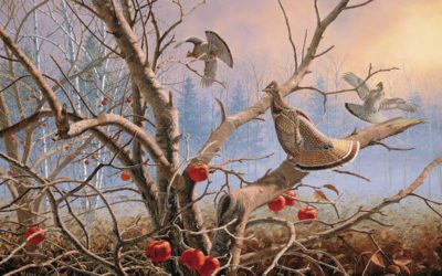 In The Court Of The Ruffed Grouse King  