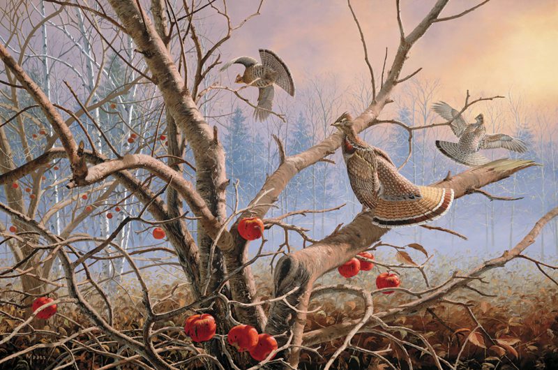 painting of ruffed grouse in tree