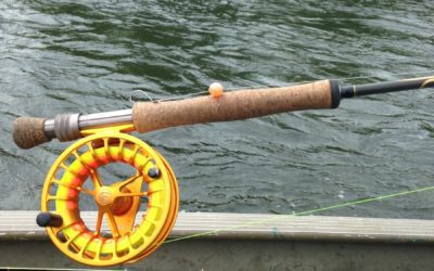 Trout Fishing Tips and Tricks