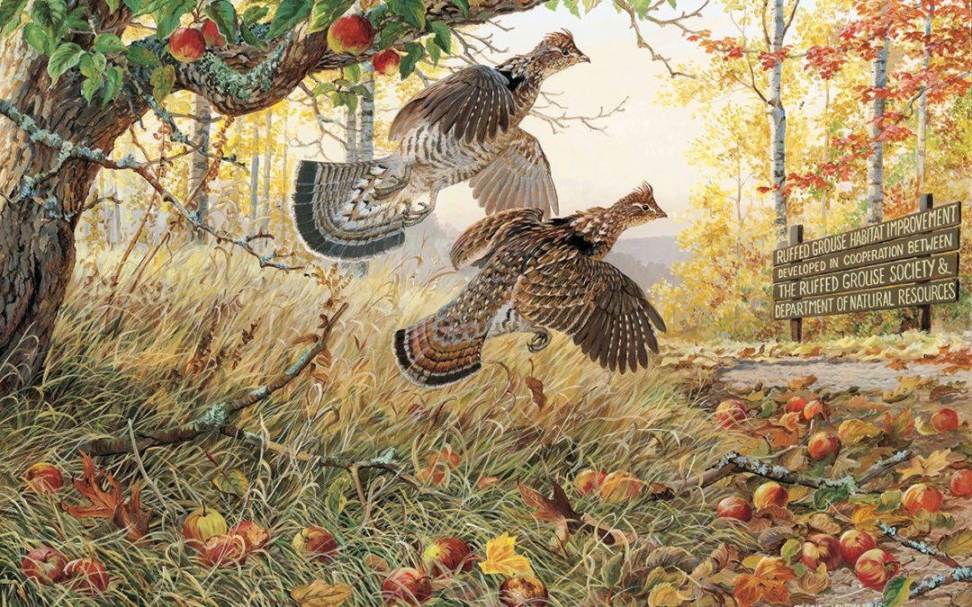 Ruffed Grouse Covert