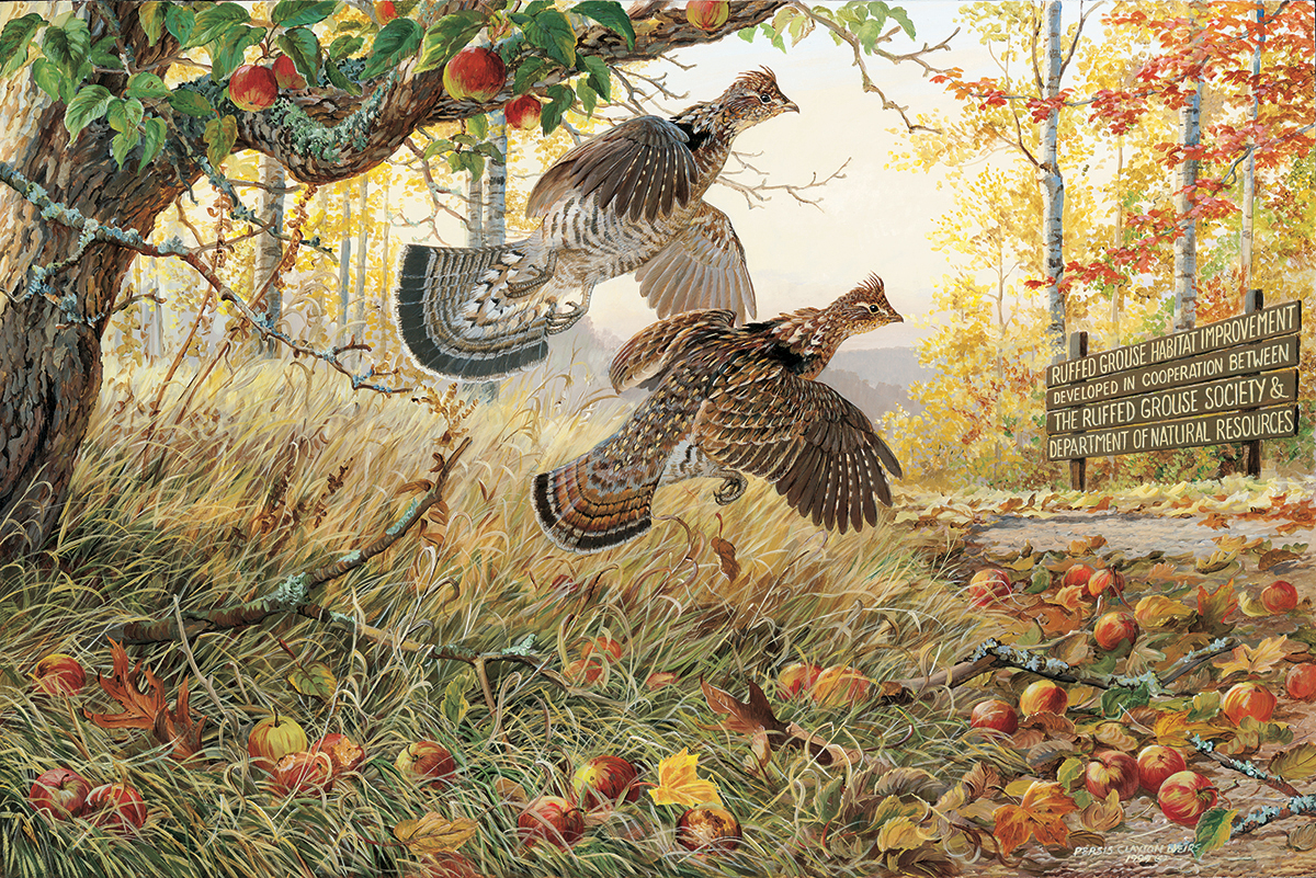 painting of a pair of ruffed grouse flying