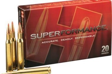 California’s Hunters Encouraged To Purchase Ammunition Now