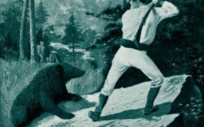 Bear Hunting In Japan