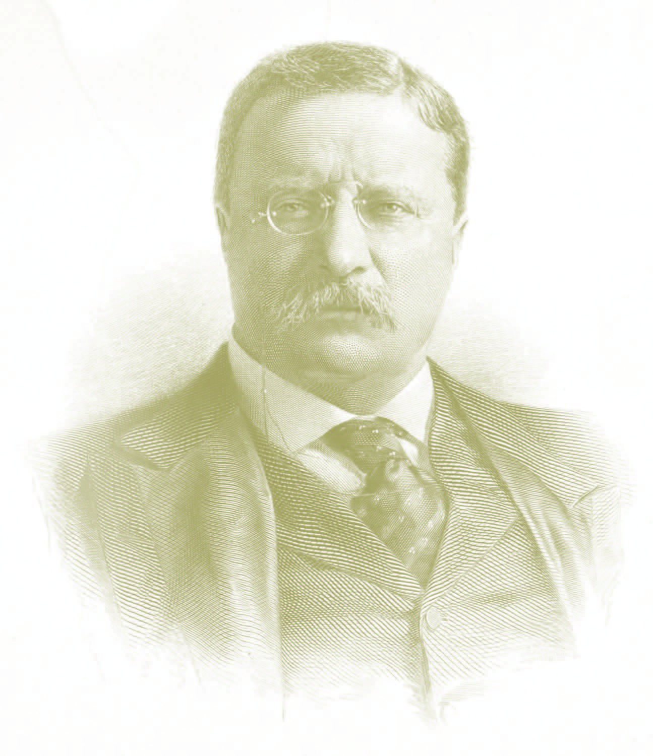 theodore roosevelt photo