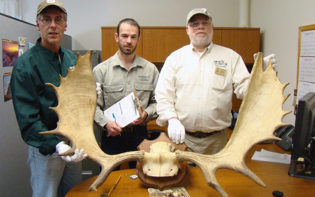 Measuring Roosevelt’s Rogue Bull Moose