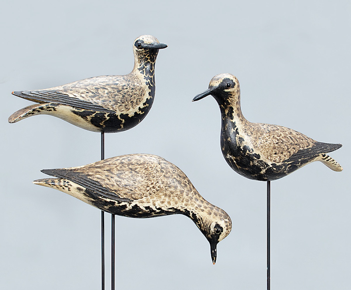 The Harmon “Dust Jacket” Plover Trio decoys by Elmer Crowell