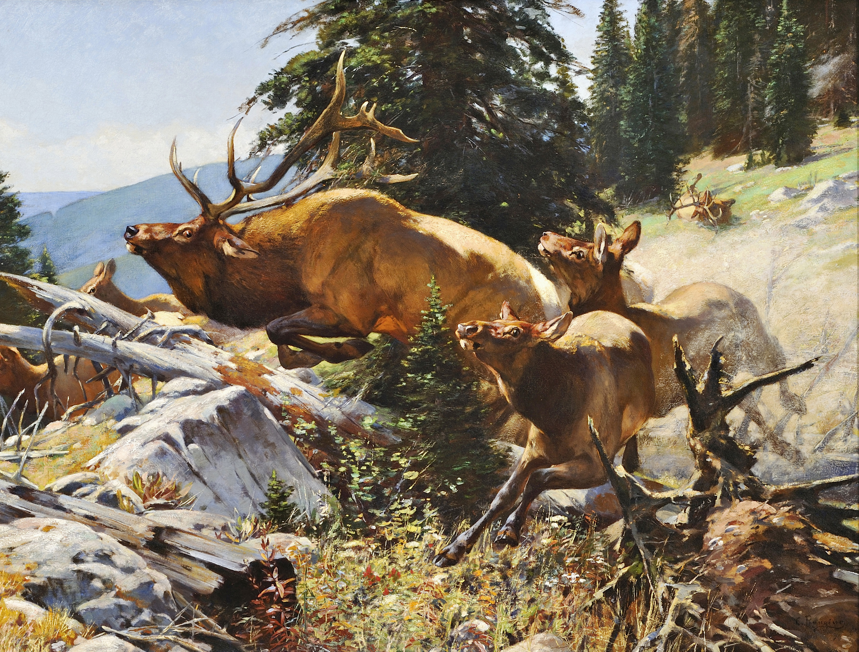 The Stampede, 1899. Carl Rungius. Oil on canvas. 26 x 46 inches. Purchased with funds generously donated by a consortium of anonymous donors, National Museum of Wildlife Art. Estate of Carl Rungius.
