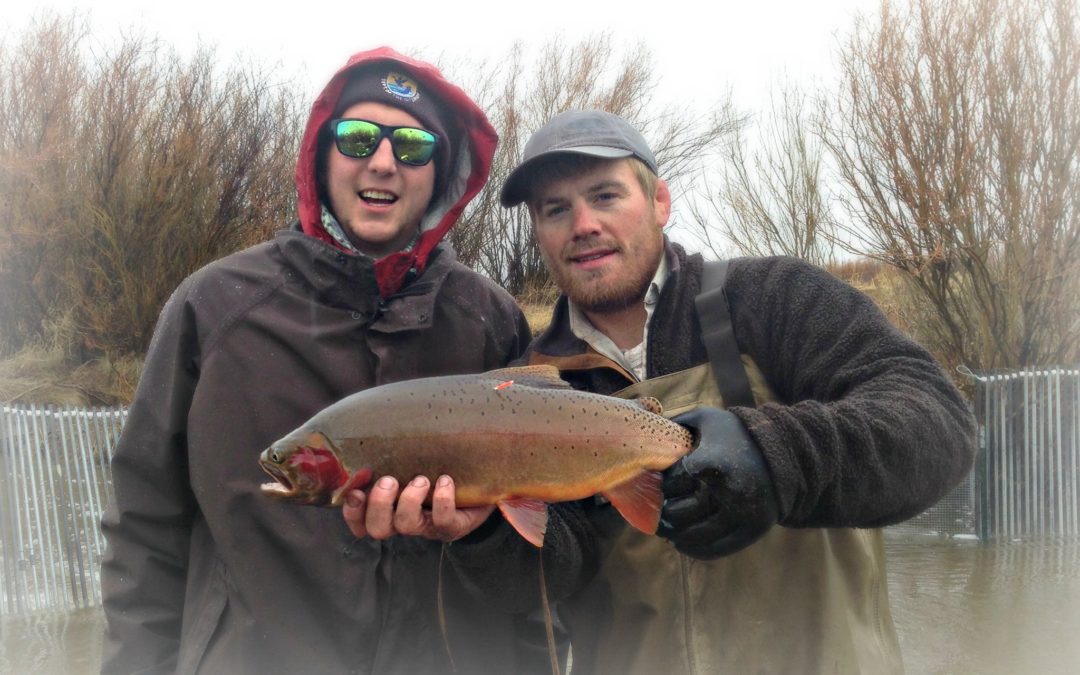 Become A Wyoming Ultimate Angler