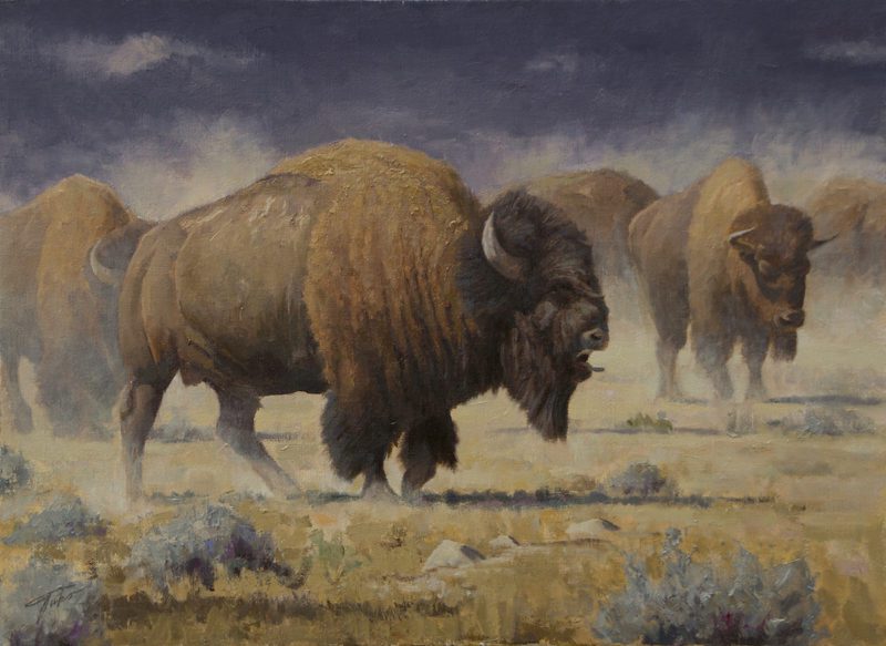 Theodore Roosevelt’s First Buffalo Hunt - Sporting Classics Daily